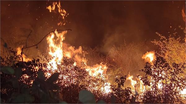 a severe fire in nearby forests of anandpur sahib