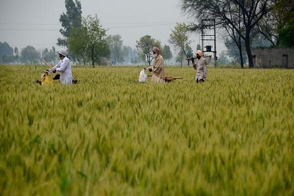 chandigarh  punjab government  pm farmer nidhi scheme  self declaration letter