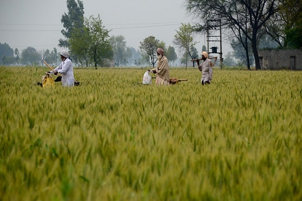 ਸਰਕਾਰ ਨੇ PM ਕਿਸਾਨ ਨਿਧੀ ਸਕੀਮ ਤਹਿਤ ਕਿਸਾਨਾਂ ਤੋਂ ਸਵੈ-ਘੋਸ਼ਣਾ ਪੱਤਰ ਮੰਗੇ
