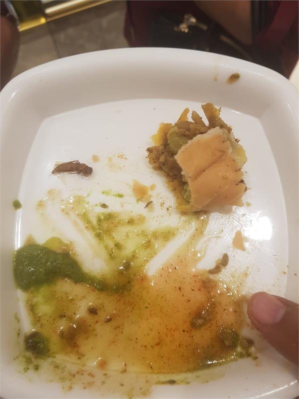 gopal restaurant chandigarh