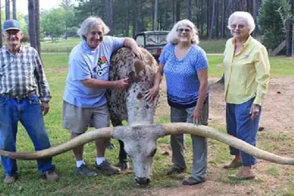 america  longhorn