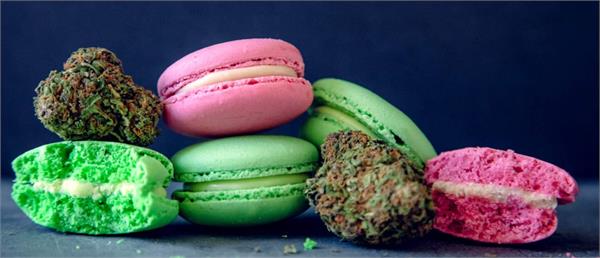 cannabis edibles expected
