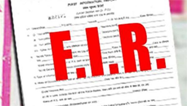 19 fir