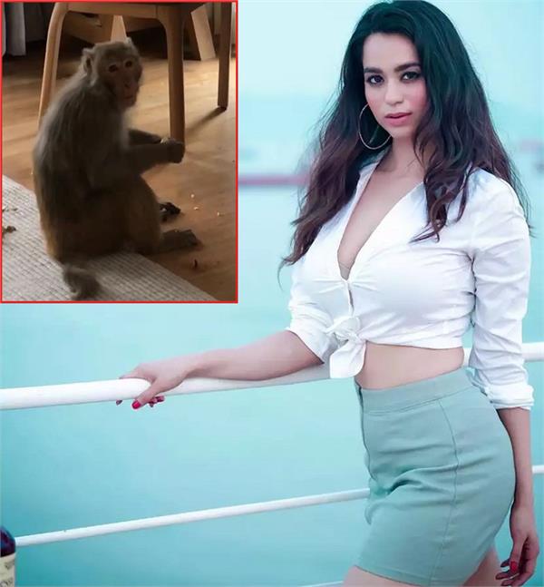monkey enters actress soundarya sharma  s room