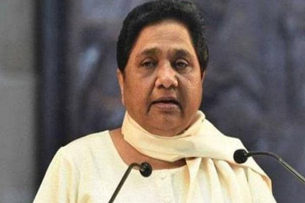 bsp leader mayawati sp alliance