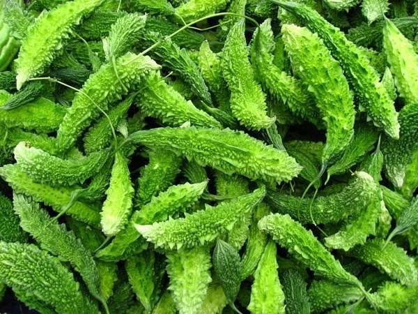 karela health benefits