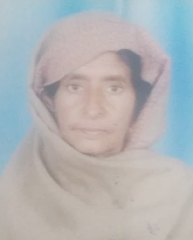 ਸੈਂਕੜੇ ਡੂਮਣੇ ਦੀਆਂ ਮੱਖੀਆਂ ਦੇ ਡੰਗ ਨਾਲ ਬਜ਼ੁਰਗ ਔਰਤ ਦੀ ਮੌਤ