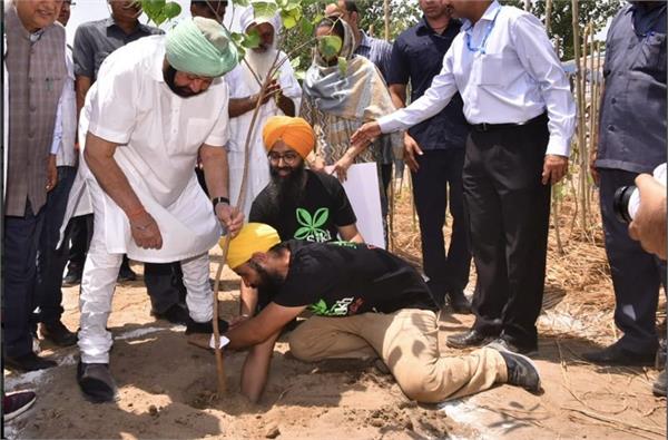 environment day