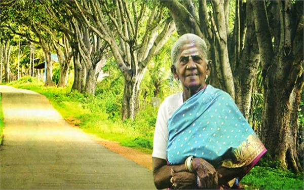 tree mother saalumarada thimmakka