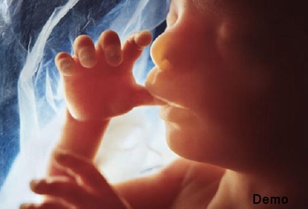5 months fetal