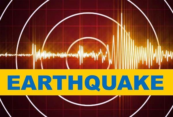 quake measuring 4 0 magnitude strikes palanpur