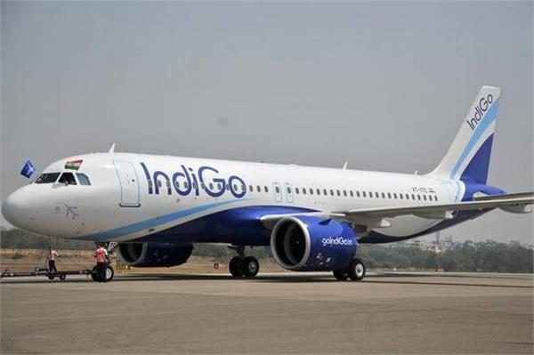 indigo posted a profit