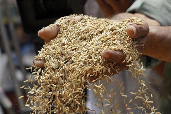 payment for 1 lakh tonne of basmati worth rs 1 000 crore delayed