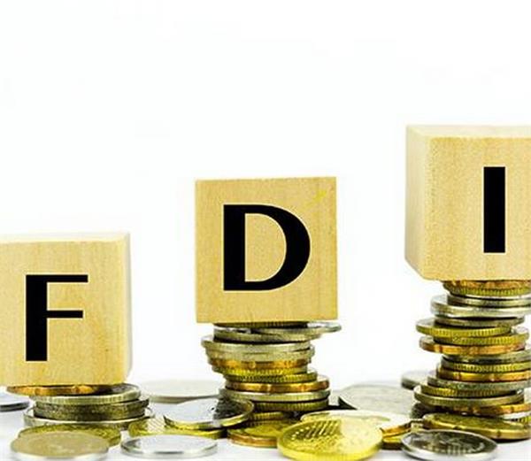 investment in indian companies