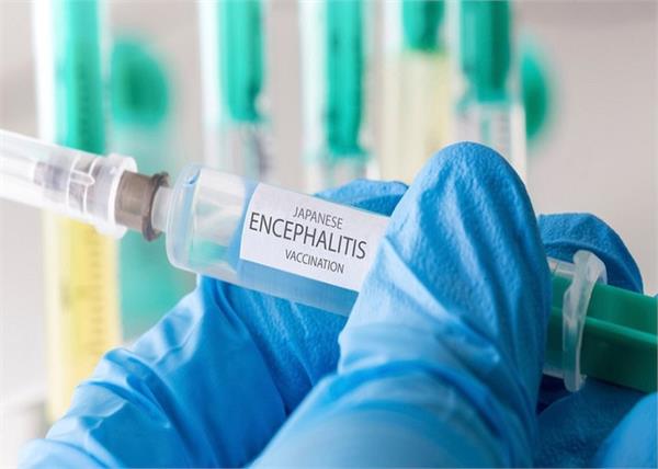 assam japanese encephalitis death