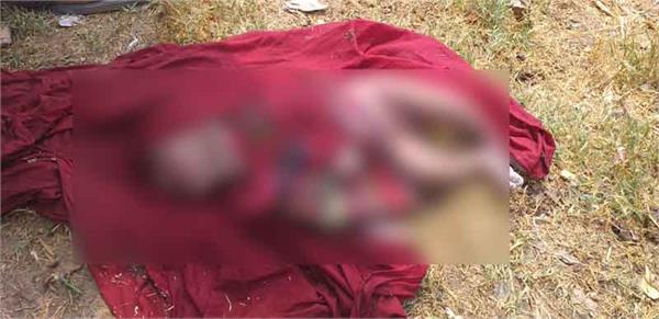 deadbody near dav college