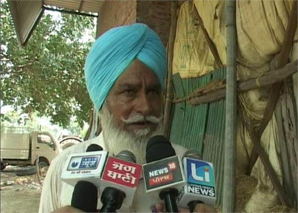 tender  paddy sowing  nabha