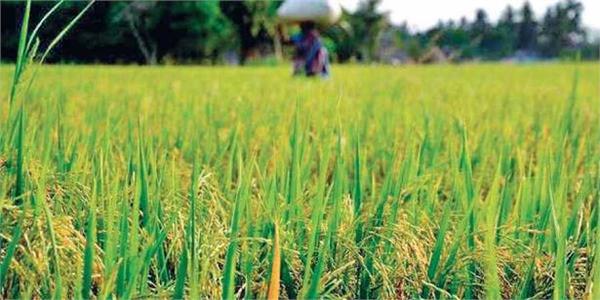 sowing of kharif crops