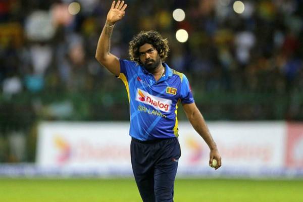 lasith malinga  icc  incorrect statistics