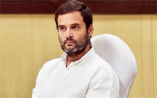 congress president rahul gandhi
