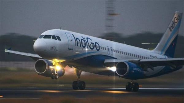 indigo controversy gangwal  stake company