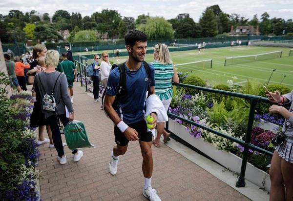 djokovic  anderson  pliskova  hype second round