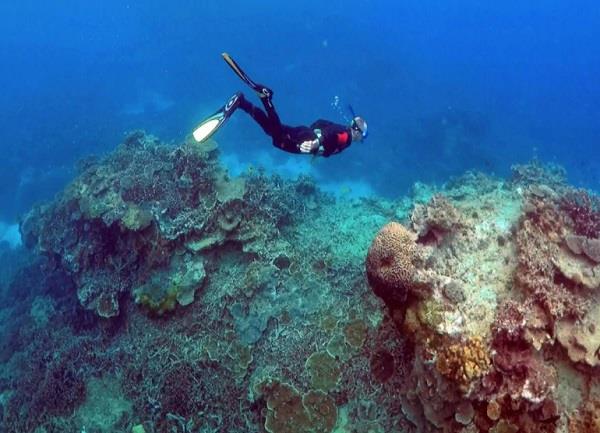 australia great barrier reef very poor condition