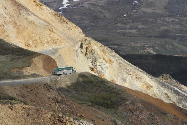 reopen denali park road tourist buses