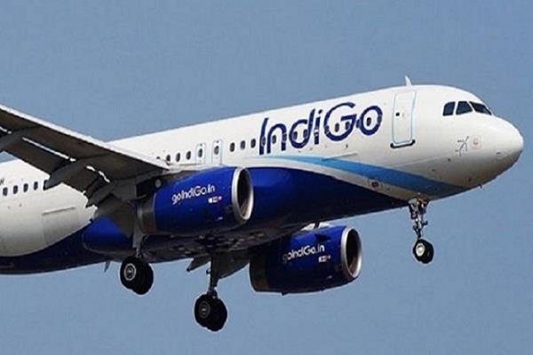 rohit philip  chief financial officer of indigo  resigned