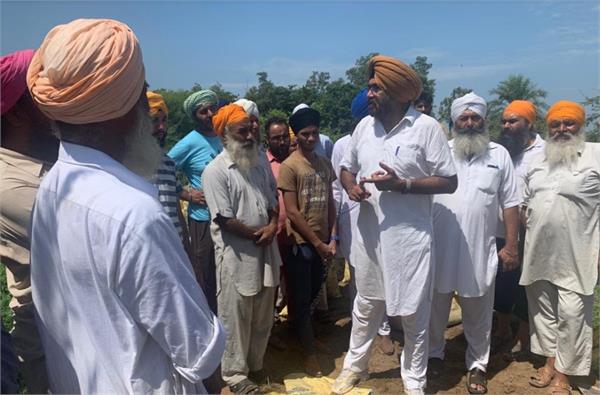 sajjan cheema  government of the punjab
