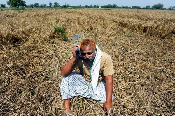 small and marginal farmers