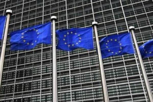 european union  member of parliament
