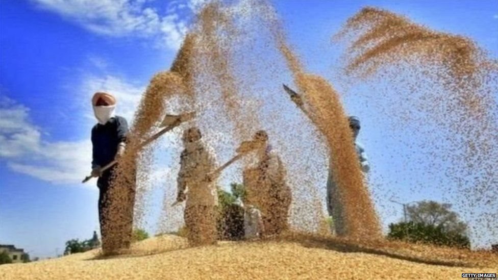 ਕੀ ਖੇਤੀ ਕਾਨੂੰਨ ਨੂੰ ਬੇਅਸਰ ਕਰਨ ਲਈ ਪੂਰੇ ਪੰਜਾਬ ਨੂੰ ਮੰਡੀ ਐਲਾਨਿਆ ਜਾ ਸਕਦਾ ਹੈ