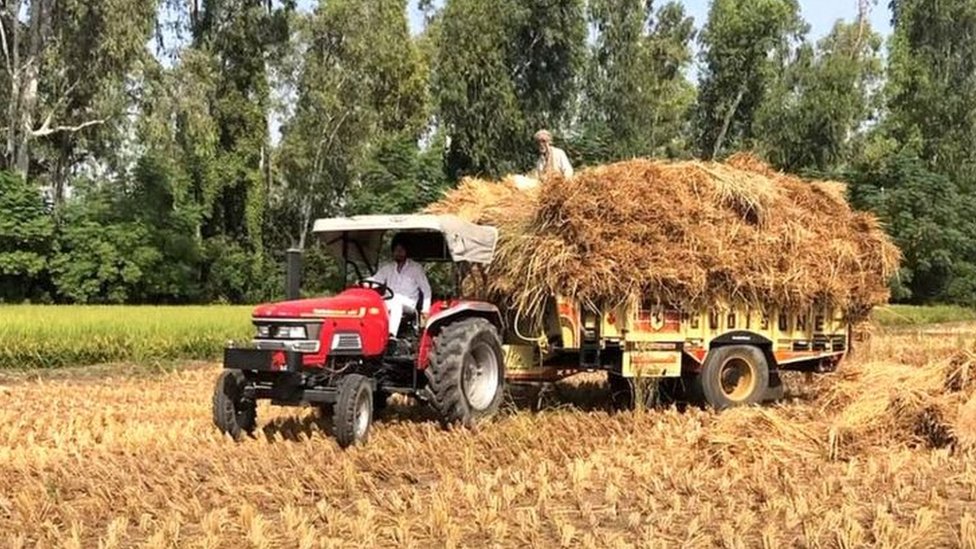 ਕੋਰੋਨਾਵਾਇਰਸ ਕਾਰਨ ਖਾਦ ਉਤਪਾਦਨ ਲਈ ਹੁਣ ਕੀ ਨਵੀਂ ਤਕਨੀਕਾਂ ਦੀ ਲੋੜ ਹੈ- 5 ਅਹਿਮ ਖ਼ਬਰਾਂ