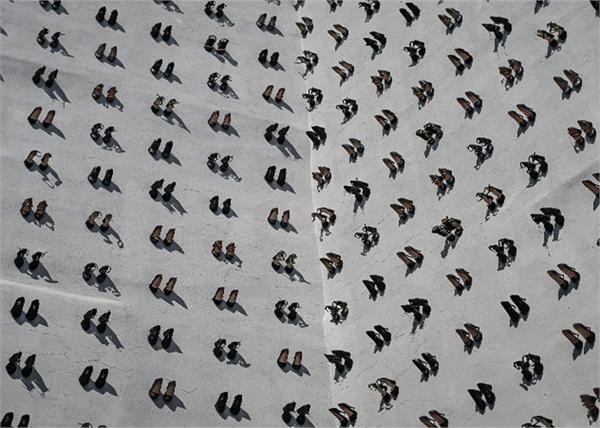 unique method of protest  440 pairs of shoes hanging on the wall of the building