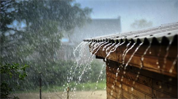 punjab  haryana  rain  snowfall