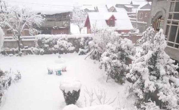 light snowfall increased due cold himachal