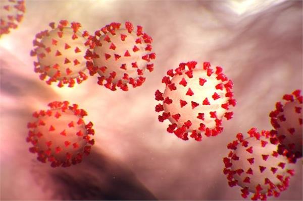 coronavirus to be known as ncp for now  china