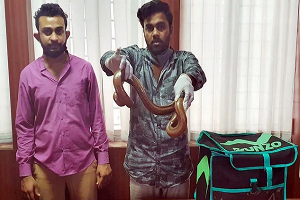 ਫਰਜ਼ੀ ਡਿਲੀਵਰੀ ਬੁਆਏ ਬਣ ਕੇ ਵੇਚ ਰਹੇ ਸੀ ਦੋ-ਮੂੰਹਾਂ ਸੱਪ, ਪੁਲਸ ਨੇ ਕੀਤਾ ਗ੍ਰਿਫਤਾਰ