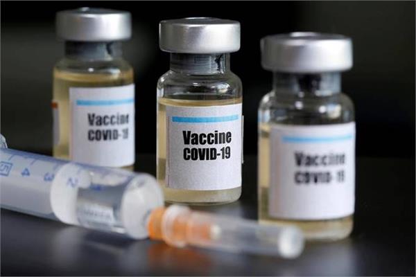 oxford university  s covid 19 vaccine test on monkeys shows promise