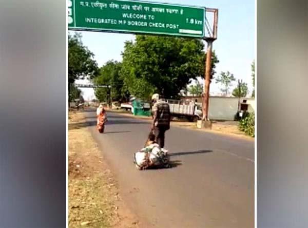 pregnant wife  little daughter  pulling 800 km and walking on foot