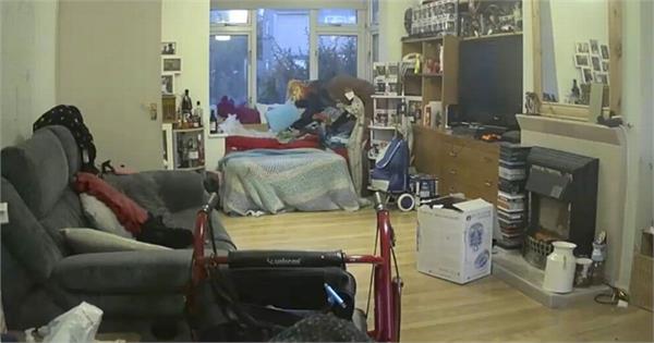 cat owners pet camera captures ghost of her dead balck cat on her sofa