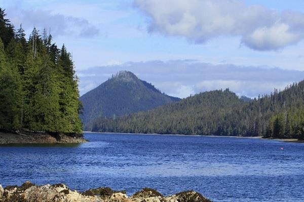 coronavirus cases haida gwaii recovered