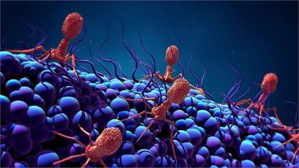 scientists find evidence of virus eating microorganisms