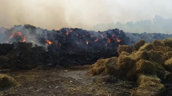 terrible fire at a paper mill in mehtapur