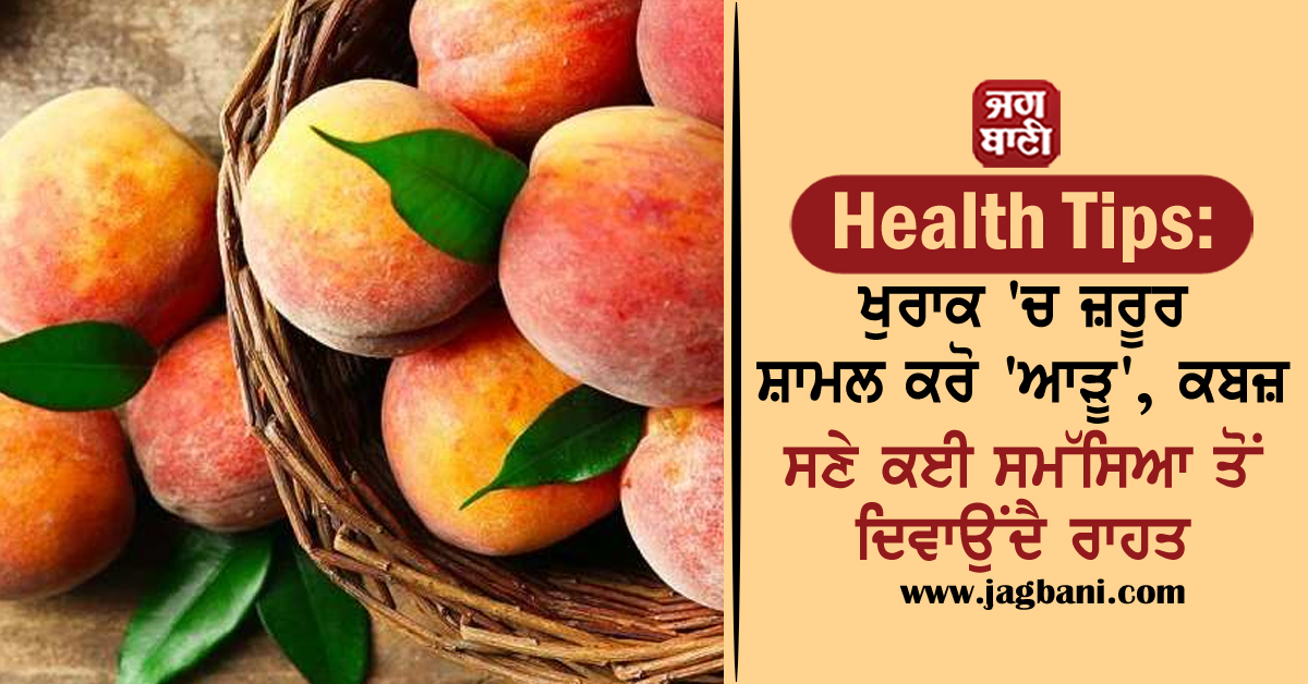 Health Tips: ਖੁਰਾਕ ''ਚ ਜ਼ਰੂਰ ਸ਼ਾਮਲ ਕਰੋ ''ਆੜੂ'', ਕਬਜ਼ ਸਣੇ ਕਈ ਸਮੱਸਿਆ ਤੋਂ ਦਿਵਾਉਂਦੈ ਰਾਹਤ