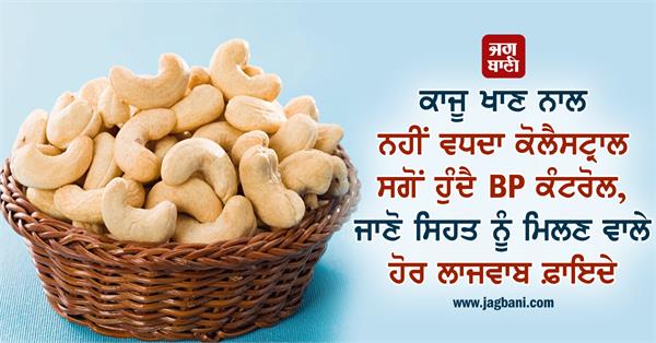 benefits of kaju eating cashew does not increase cholesterol 