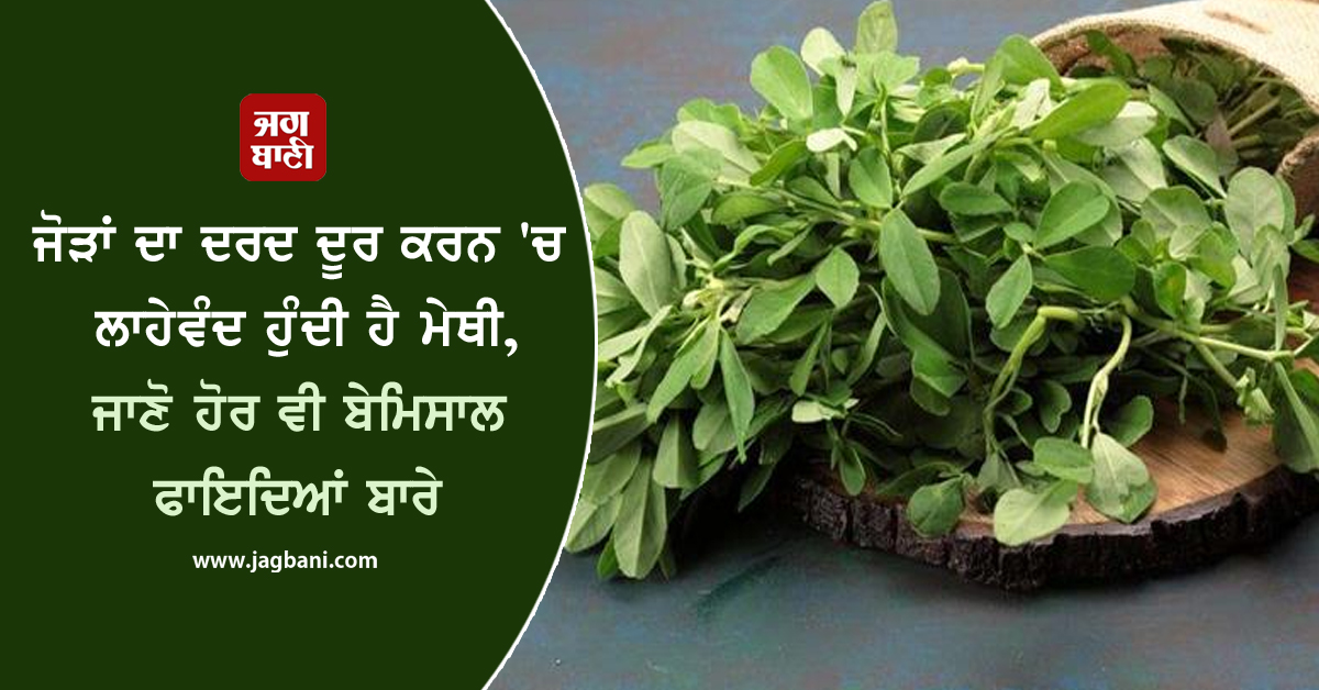 ਜੋੜਾਂ ਦਾ ਦਰਦ ਦੂਰ ਕਰਨ 'ਚ ਲਾਹੇਵੰਦ ਹੁੰਦੀ ਹੈ ਮੇਥੀ, ਜਾਣੋ ਹੋਰ ਵੀ ਬੇਮਿਸਾਲ ਫਾਇਦਿਆਂ ਬਾਰੇ