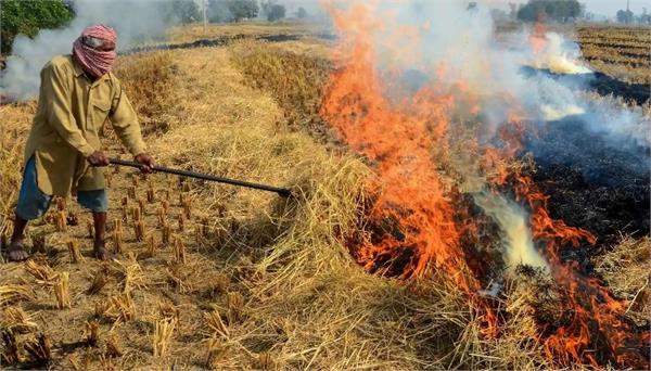 burning paddy straw made it difficult to breathe