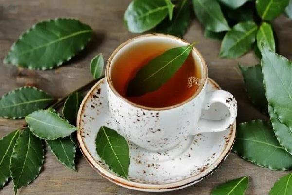 bay leaf tea is a boon for diabetes and heart patients